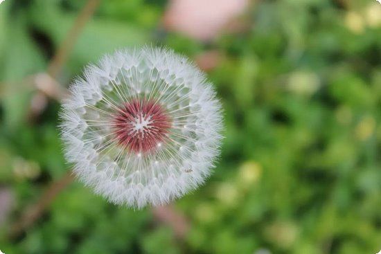 針灸減肥3大優(yōu)勢帶你健康瘦身重溫窈窕