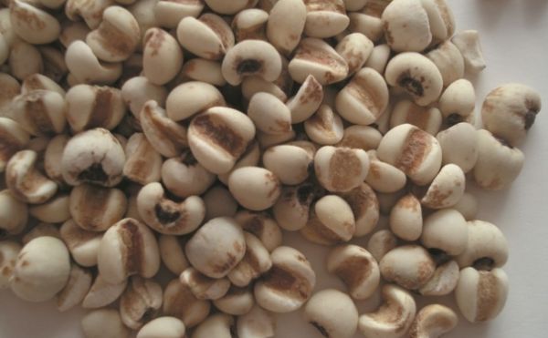 祛湿排毒的食物？哪些食物祛湿效果好？(1)