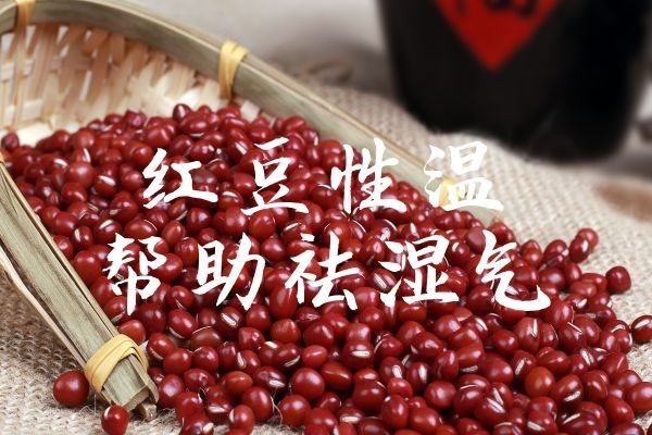 红豆祛湿气