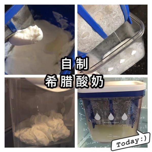 自制希臘酸奶無糖低脂減脂的做法