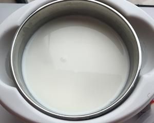 在家自制無糖低脂希臘酸奶(超濃稠)的做法 步驟2
