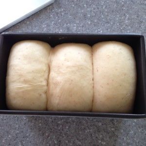 全麥酸奶吐司的做法步驟 第5步