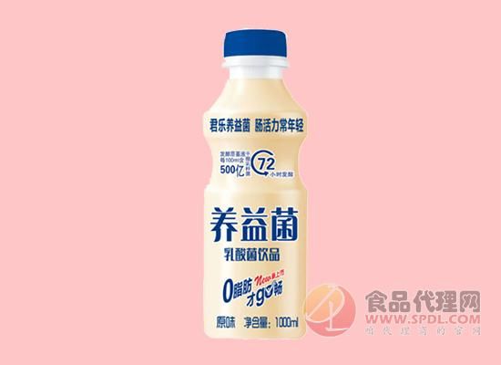 養(yǎng)益菌乳酸菌飲品原味