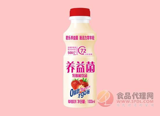 養(yǎng)益菌乳酸菌飲品草莓味