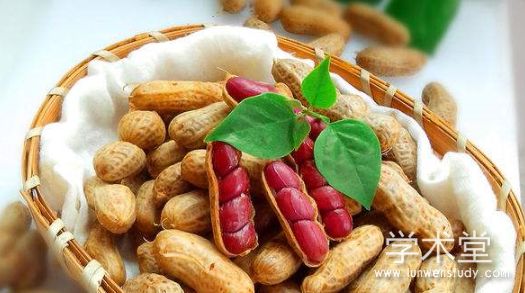 食品營養(yǎng)與保健論文