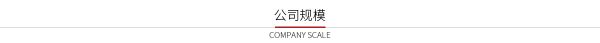 公司規(guī)模