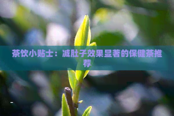 茶飲小貼士：減肚子效果顯著的保健茶推薦