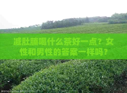 減肚腩喝什么茶好一點？女性和男性的答案一樣嗎？