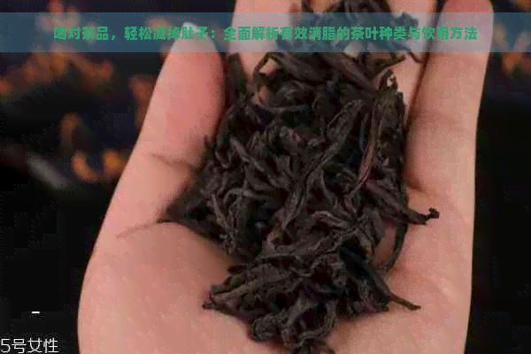 喝對茶品，輕松減掉肚子：全面解析有效消脂的茶葉種類與飲用方法