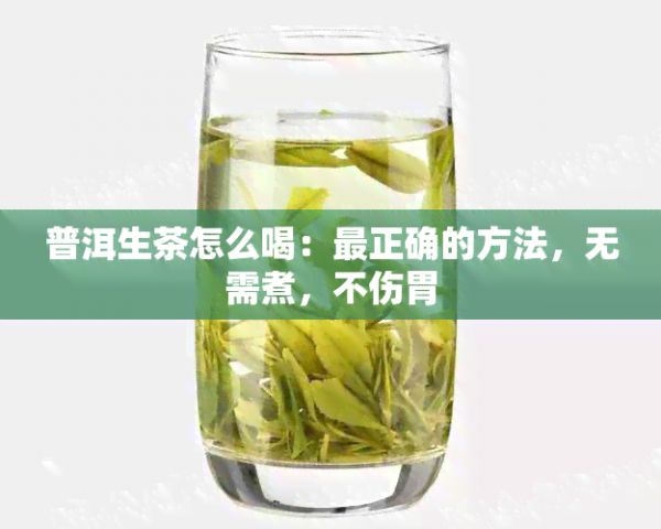 普洱生茶怎么喝：最正確的方法，無需煮，不傷胃