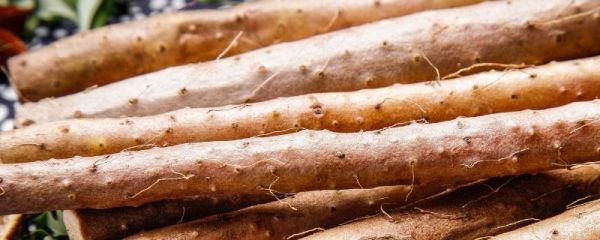 山藥病蟲(chóng)害防治技術(shù)，不同病害的防治方法不同