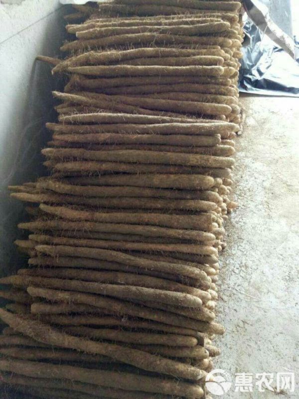 麻山药 基地直供，价格合理，质量好，上货快