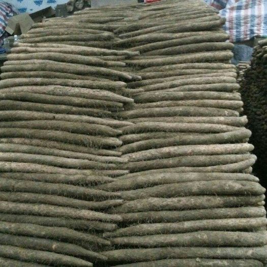 麻山药 基地直供，价格公道，质量好，货源充足