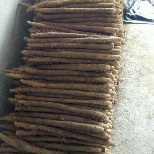 棒山药 基地直供，货源充足，质量好，价格透明