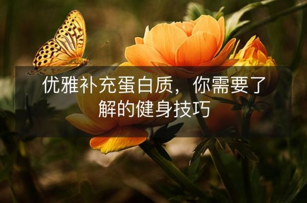 優(yōu)雅補(bǔ)充蛋白質(zhì)，你需要了解的健身技巧