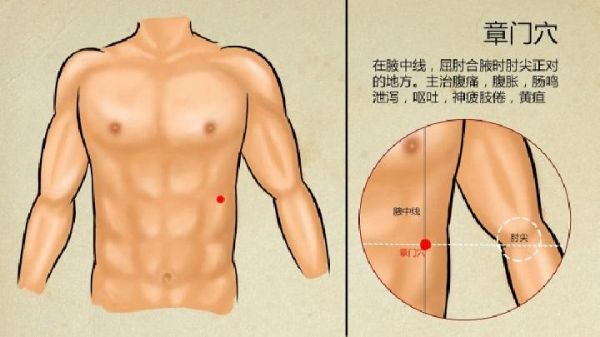 中醫(yī)拔罐減肥的原理和注意事項