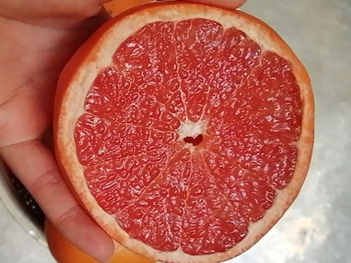 葡萄柚減肥可以吃嗎