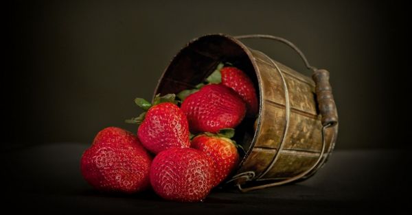 fresas