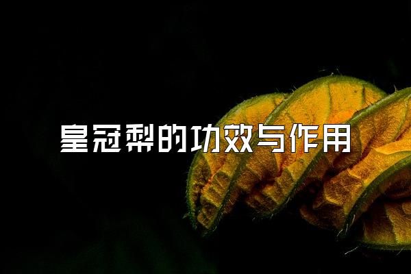 皇冠梨的功效與作用
