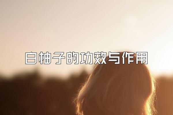 白柚子的功效與作用