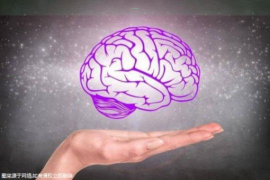 〖芒果長胖嗎,吃芒果會發(fā)胖嗎〗