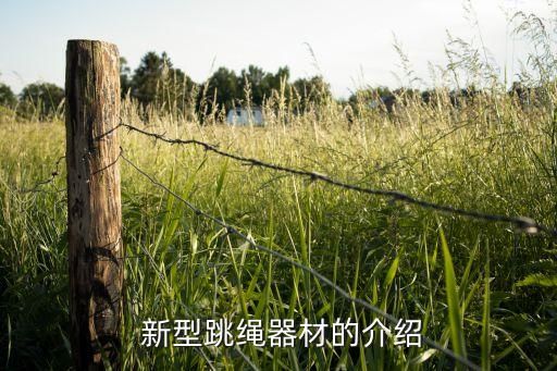  新型跳繩器材的介紹