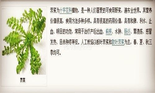 水薺菜