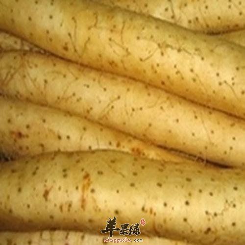 哪些食物可以和麻山藥搭配食用