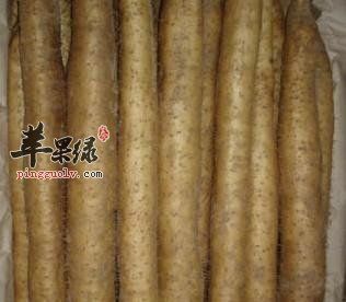 哪些食物可以和麻山藥搭配食用