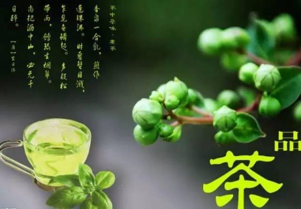 老倪青錢柳茶流傳幾千年的中醫(yī)茶療養(yǎng)生法