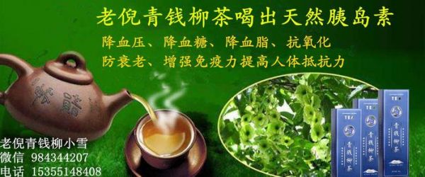 老倪青錢柳茶流傳幾千年的中醫(yī)茶療養(yǎng)生法