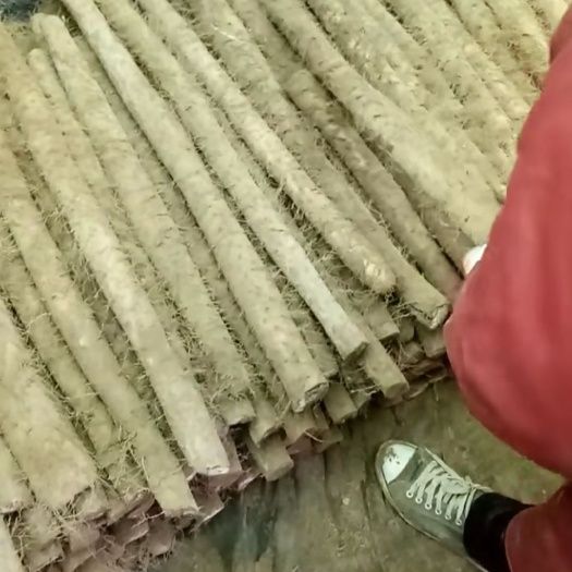 麻山藥 50~70cm 河北特產(chǎn)
