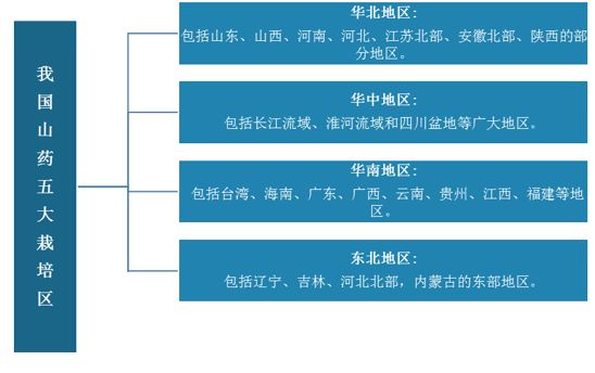 山藥市場規(guī)模分析