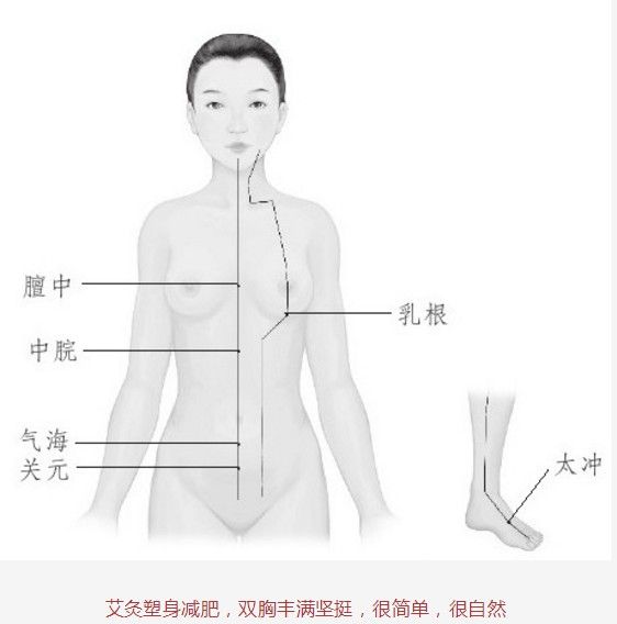 灸除百病的智慧（13）單桂敏