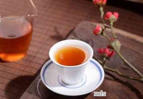 綠茶之外的飲品選擇：哪些茶葉能夠替代綠茶的健益處？