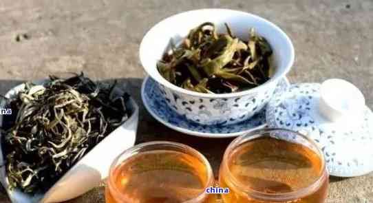 如何選擇合適的普洱茶替代品以滿足口味需求？