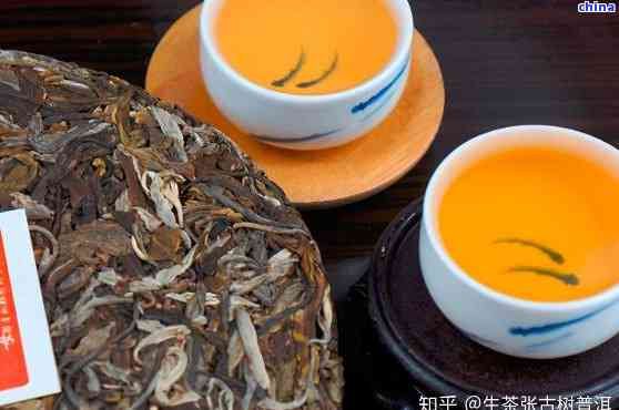 如何選擇合適的普洱茶替代品以滿足口味需求？