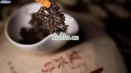 如何選擇合適的普洱茶替代品以滿足口味需求？
