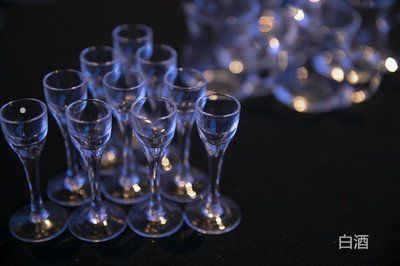 中国十大保健酒品牌