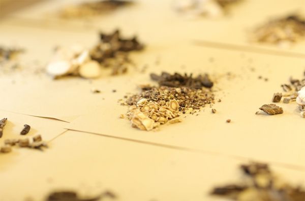 人參葉泡酒：養(yǎng)生佳釀的秘密-3