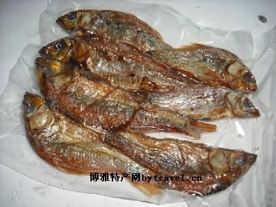 永嘉田魚