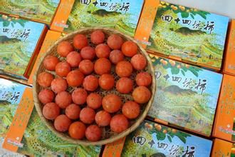 永康方山柿