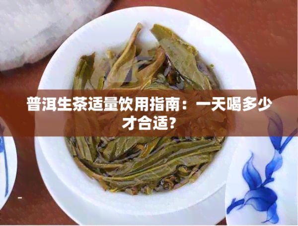 普洱生茶適量飲用指南：一天喝多少才合適？