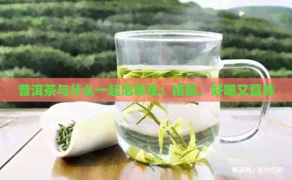 普洱茶與什么一起泡養(yǎng)生：搭配，好喝又營養(yǎng)