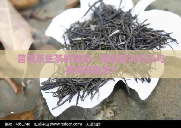 普洱茶生茶的搭配：哪些茶葉可以與其完美融合？