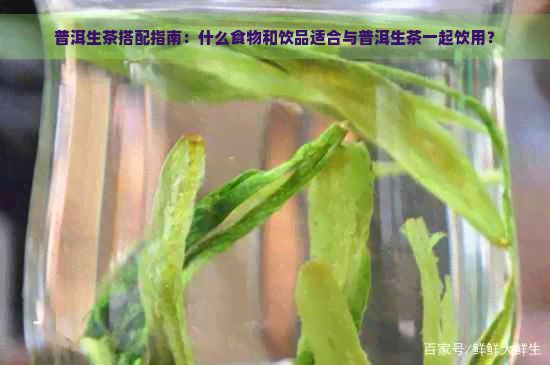 普洱生茶搭配指南：什么食物和飲品適合與普洱生茶一起飲用？