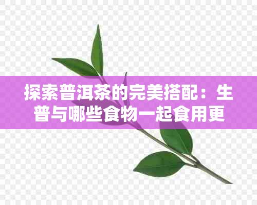 探索普洱茶的完美搭配：生普與哪些食物一起食用更佳？