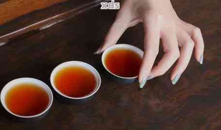 生普洱茶搭配指南：如何選擇合適的食物與飲品，讓茶味更上一層樓！