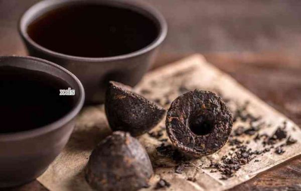生普洱茶搭配指南：如何選擇合適的食物與飲品，讓茶味更上一層樓！