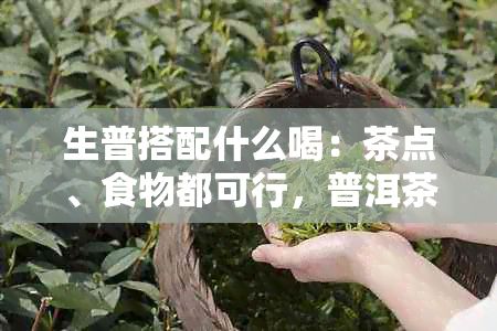 生普搭配什么喝：茶點、食物都可行，普洱茶與水果、糕點相得益彰。